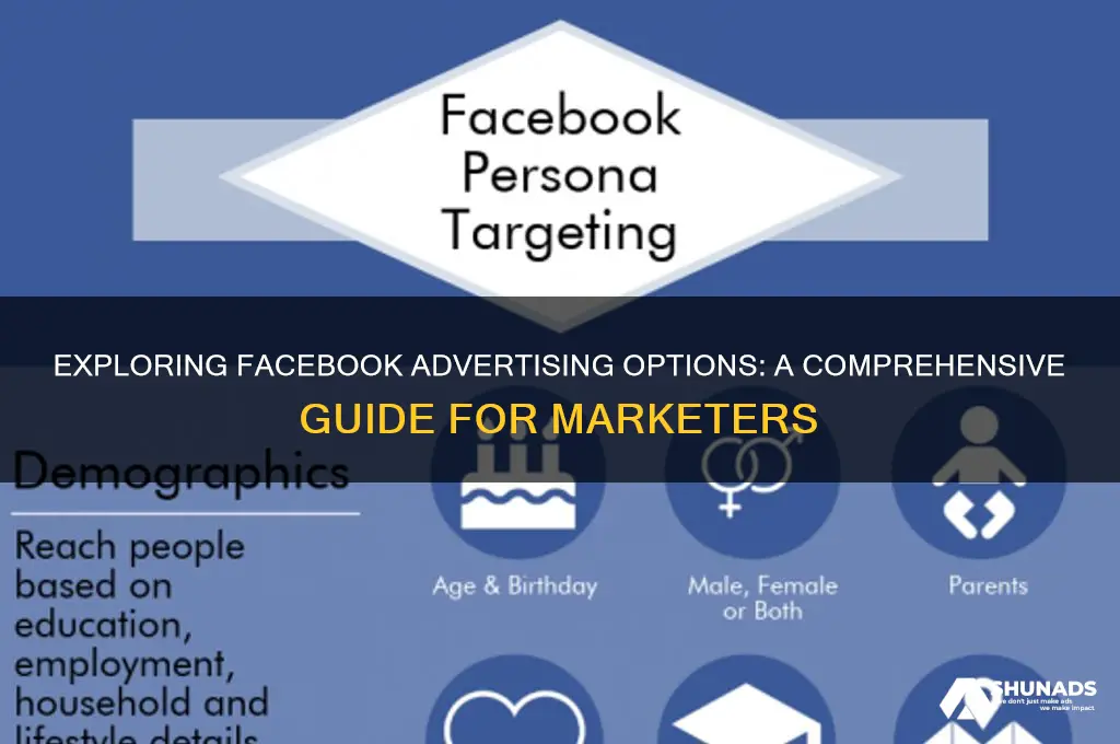 what are facebook advertising options