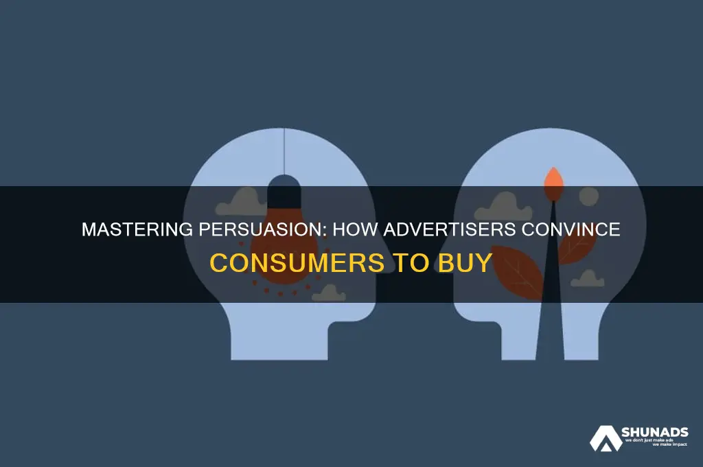 what are some advertisers techniques use to seem convince consumers