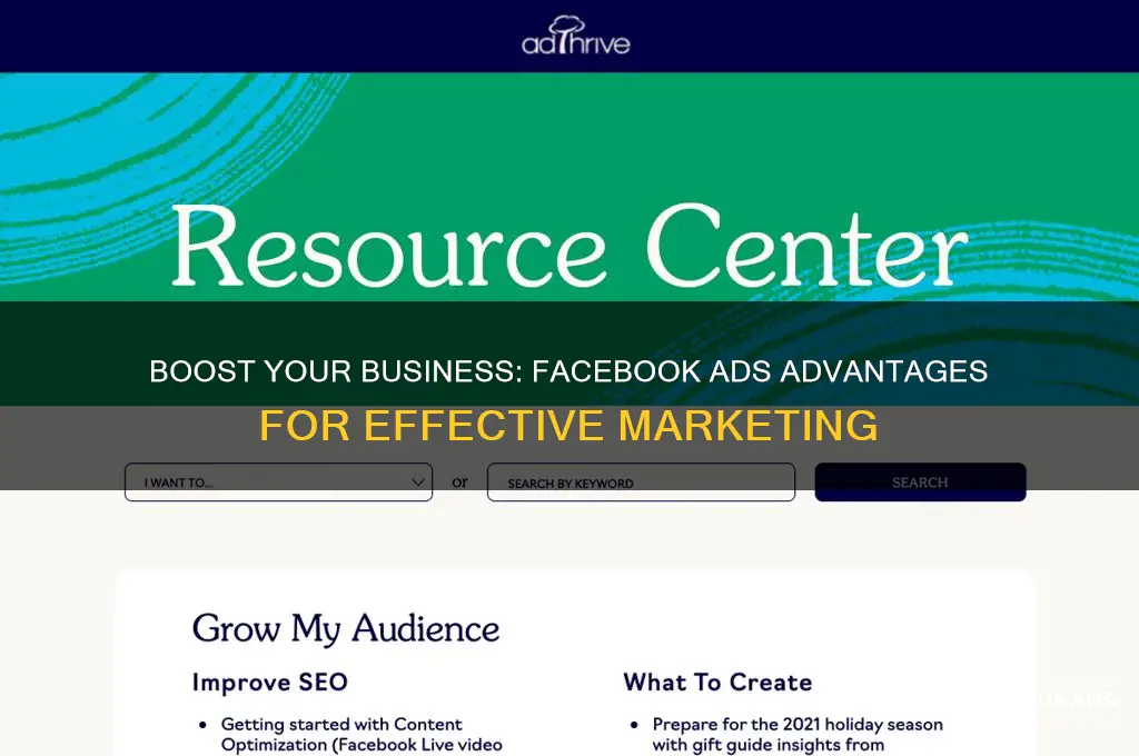 what are the advantages of using facebook for advertisments