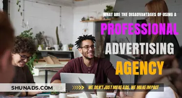 The Hidden Downsides of Hiring Professional Advertising Agencies