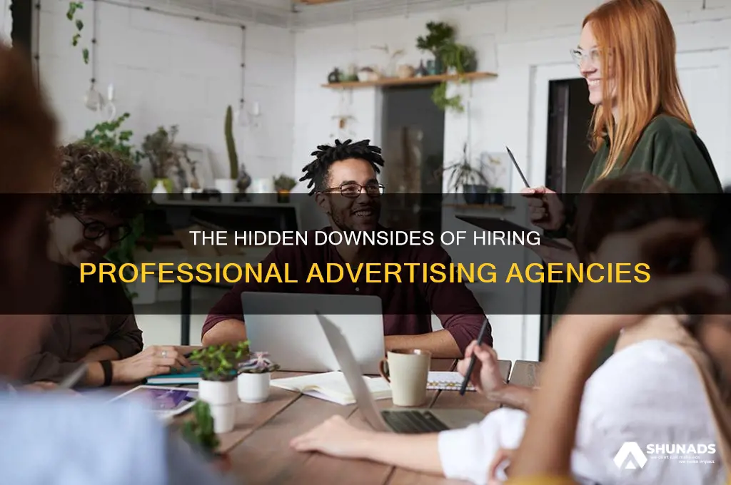 what are the disadvantages of using a professional advertising agency