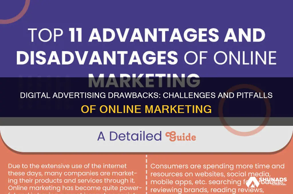 what are the disadvantages of using digital advertising media