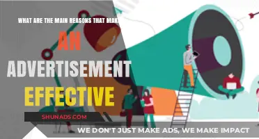 Unlocking Success: Key Ingredients for Effective Advertisements
