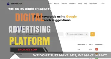 Boosting Business: Facebook Ads' Targeting and Analytics Advantages