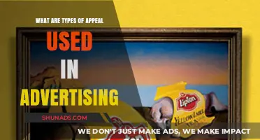 Mastering Persuasion: Exploring the Types of Appeal in Advertising