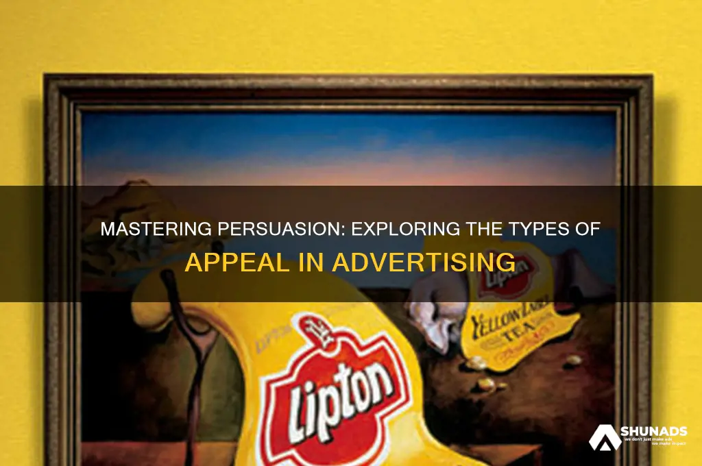 what are types of appeal used in advertising