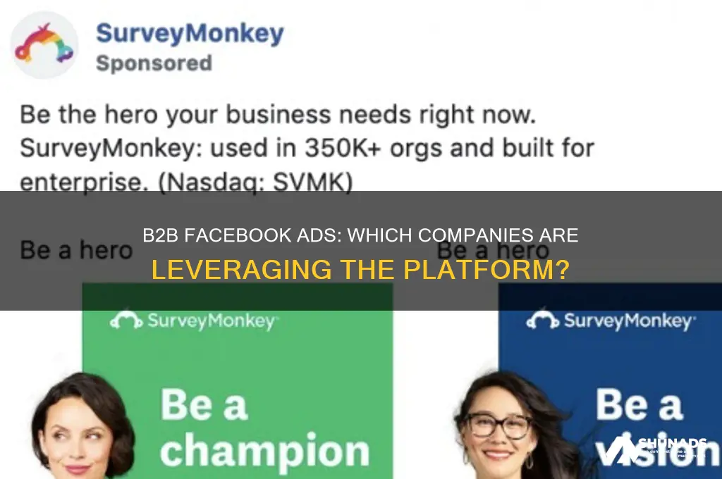 what b2b companies advertise on facebook