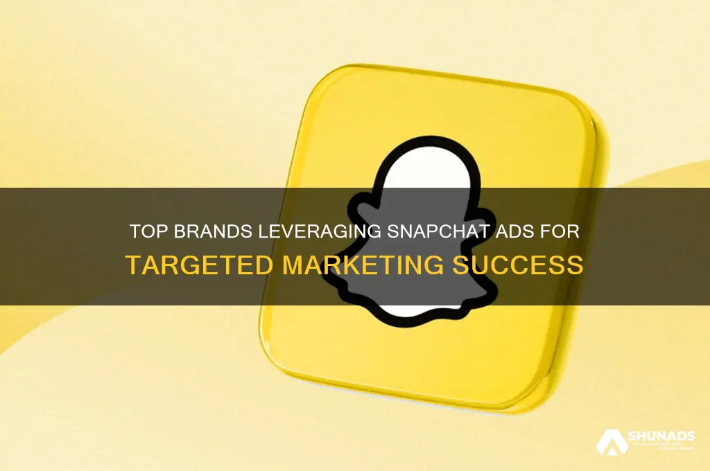 what businesses advertise on snapchat