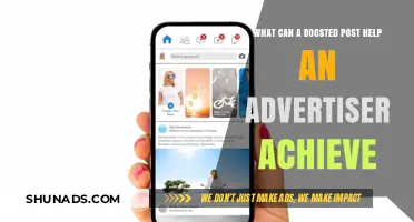 Boosted Posts: Amplifying Reach, Engagement, and Brand Visibility for Advertisers