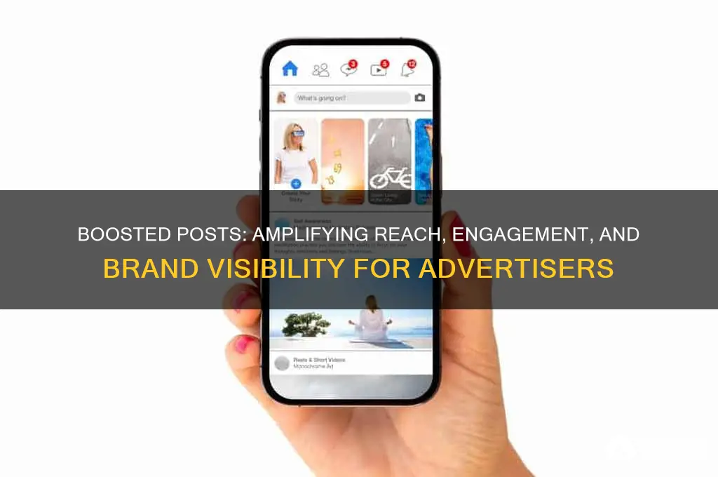 what can a boosted post help an advertiser achieve