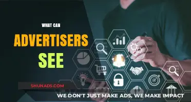 What Advertisers Can See: Unveiling Data Access and Privacy Concerns