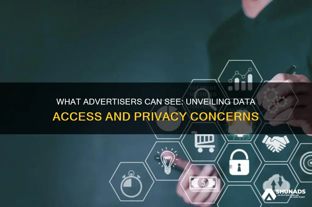 what can advertisers see