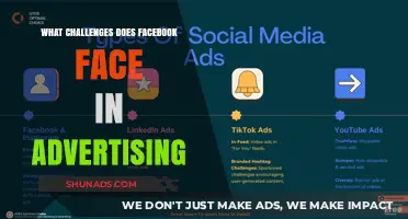 Facebook's Advertising Hurdles: Privacy, Regulation, and User Trust Concerns