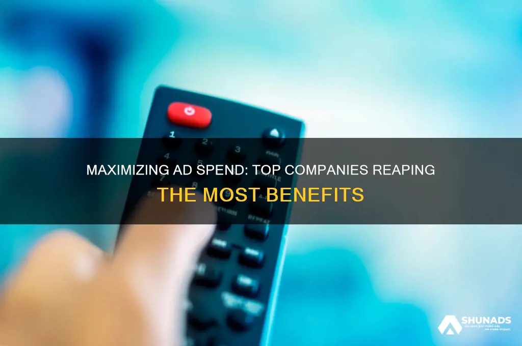 what companies get the most from advertises