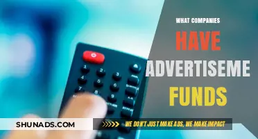 Which Companies Invest Heaviest in Advertisement Funds Today?