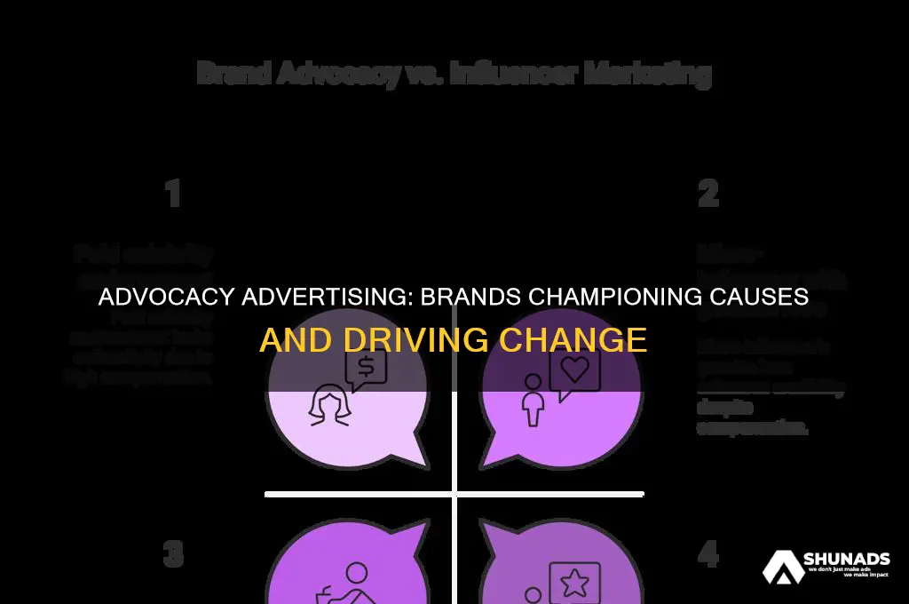what companies use advocacy advertising