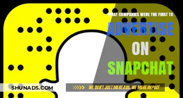 Pioneering Brands: The First Companies to Advertise on Snapchat