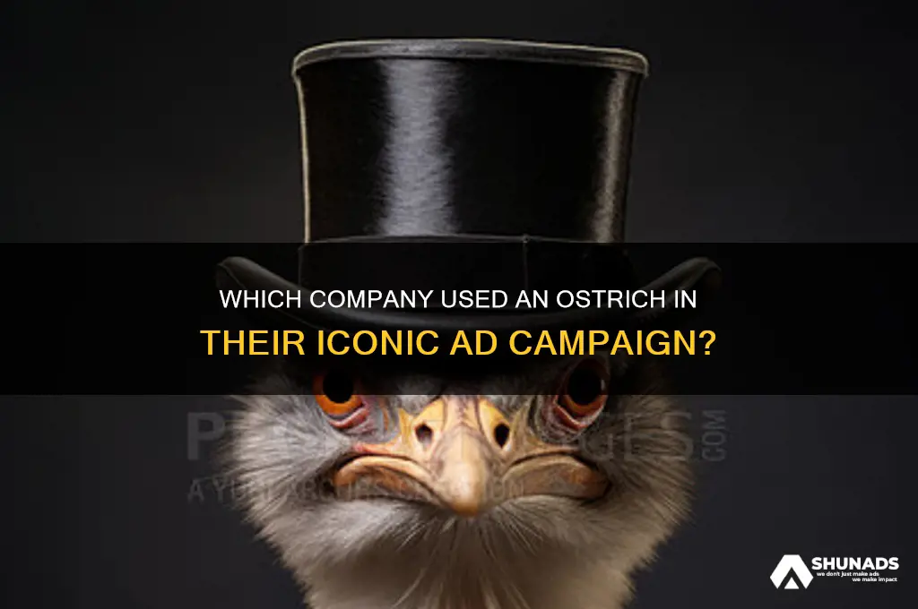 what company advertised with an ostrich
