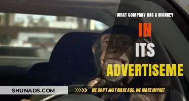 Companies with Monkeys in Ads: A Surprising Marketing Trend