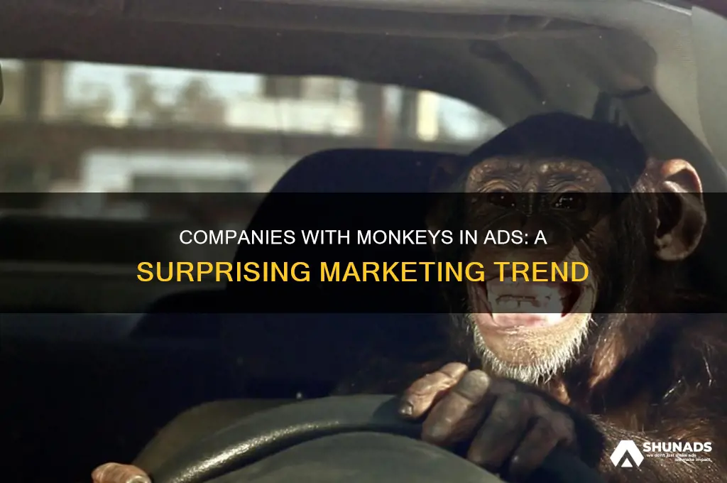 what company has a monkey in its advertisement
