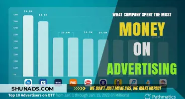 Top Advertiser: Which Company Invested the Most in Ads?