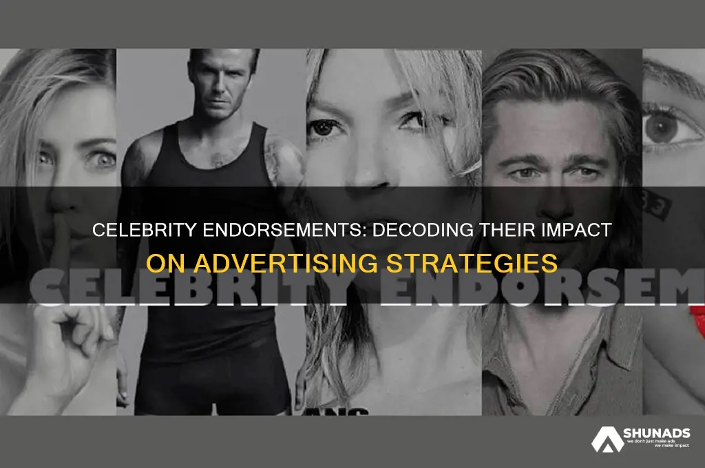 what deos it mean when advertisment uses celebrities