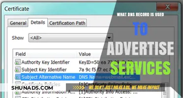 Advertising Services via DNS: Understanding the SRV Record's Role