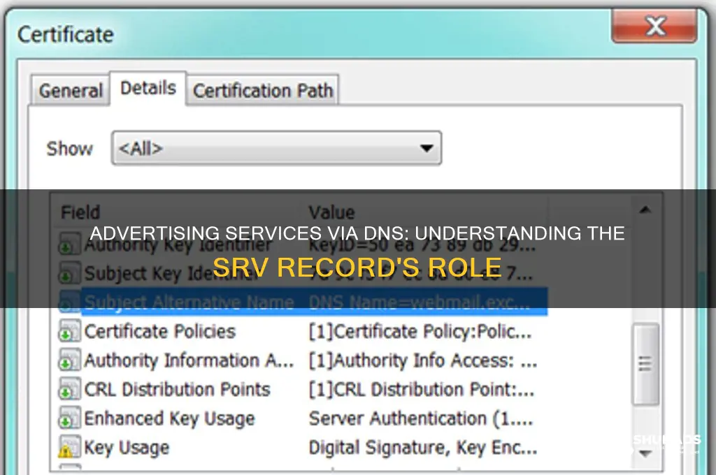 what dns record is used to advertise services