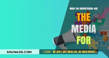 How Advertisers Leverage Media to Reach and Influence Audiences