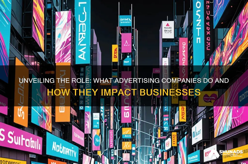 what do advertising companies do
