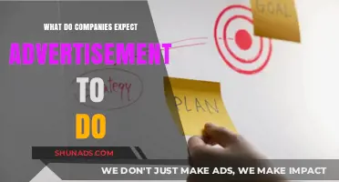What Companies Expect Advertisements to Achieve: Goals and Outcomes