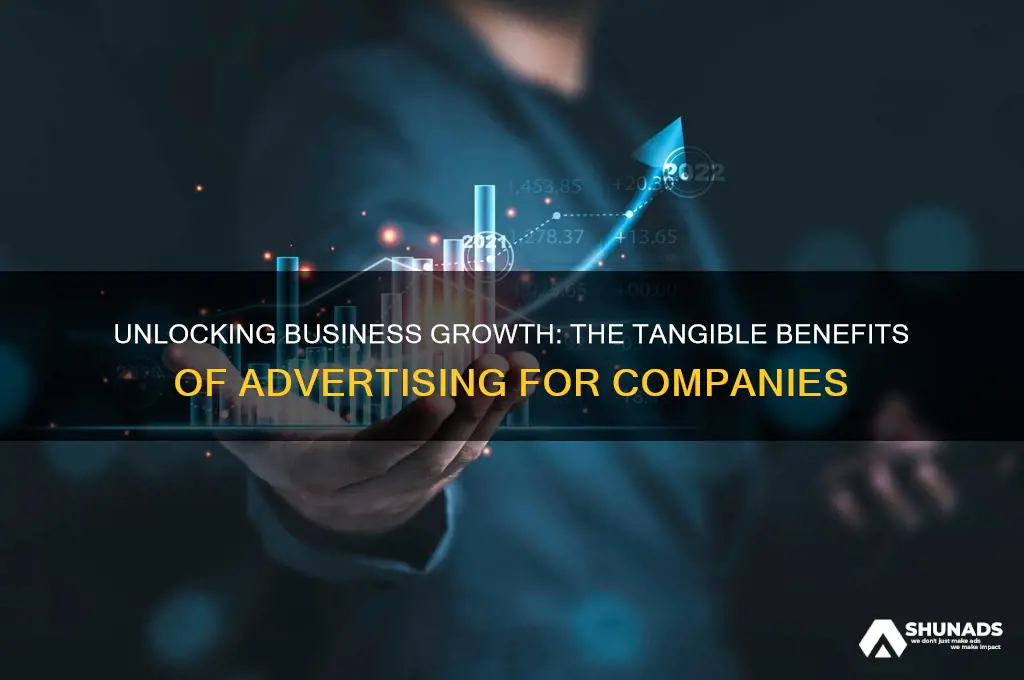 what do companies get for advertising