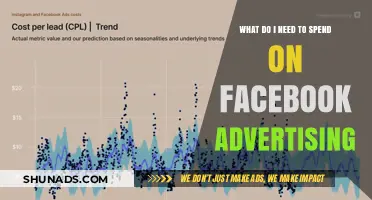 Facebook Advertising Budget: Essential Costs for Effective Campaign Success