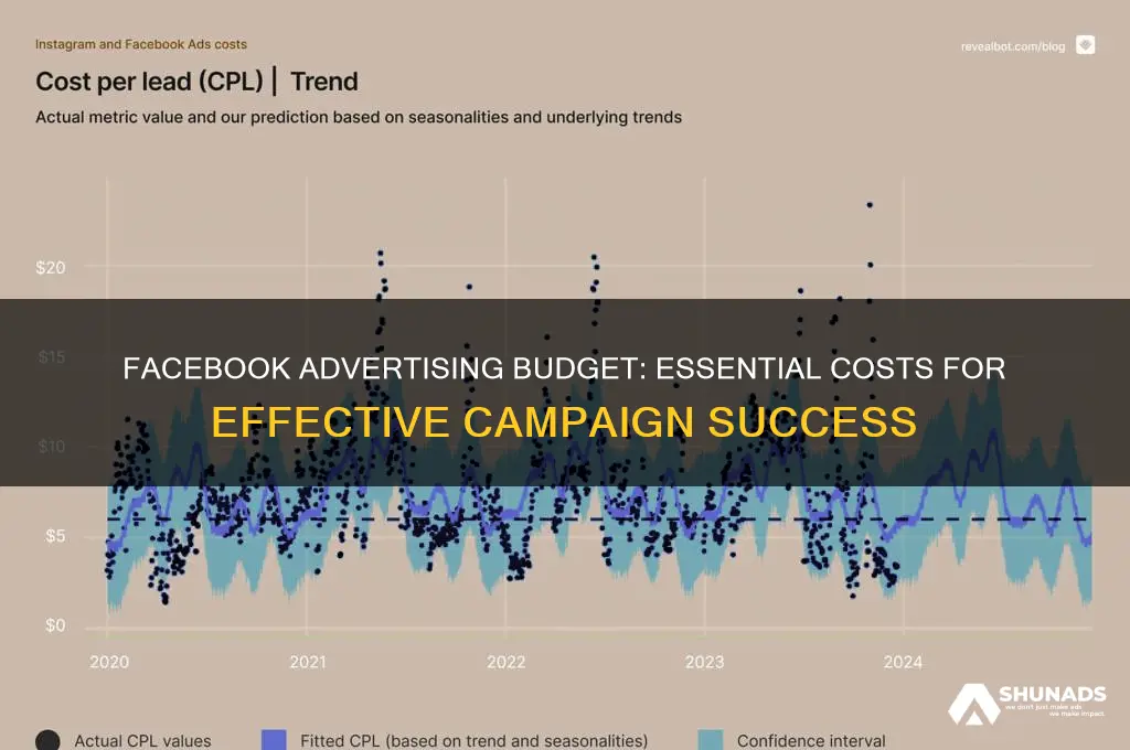 what do i need to spend on facebook advertising