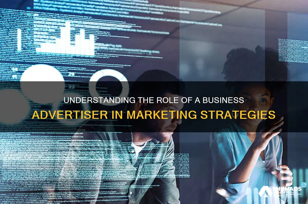 what does a business advertiser do