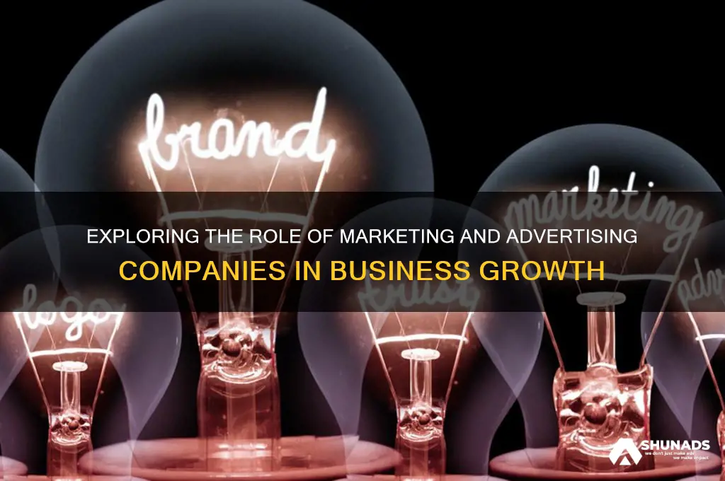what does a marketing and advertising company do