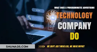 How Programmatic Advertising Technology Companies Revolutionize Digital Ad Campaigns