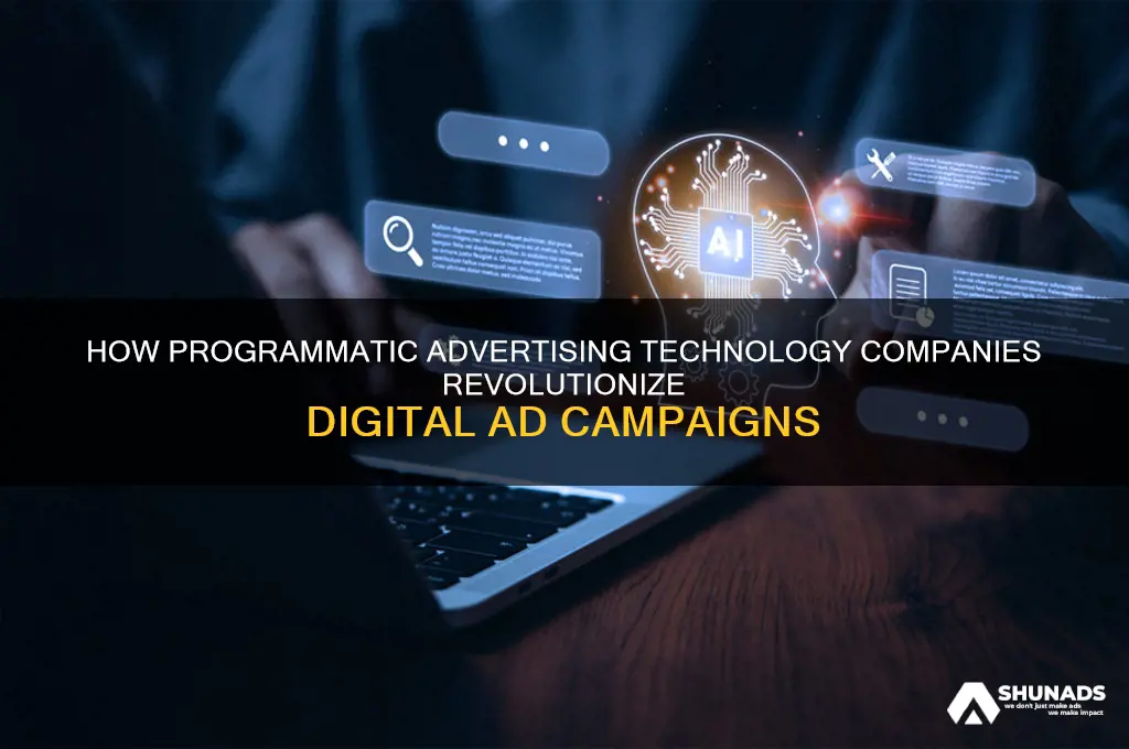what does a programmatic advertising technology company do
