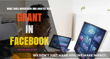 Facebook Advertiser and Analyst Roles: Permissions, Access, and Capabilities Explained