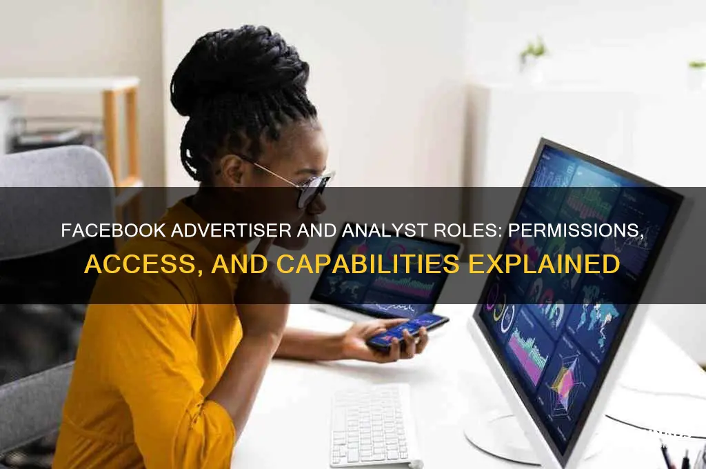 what does advertiser and analyst role grant in facebook