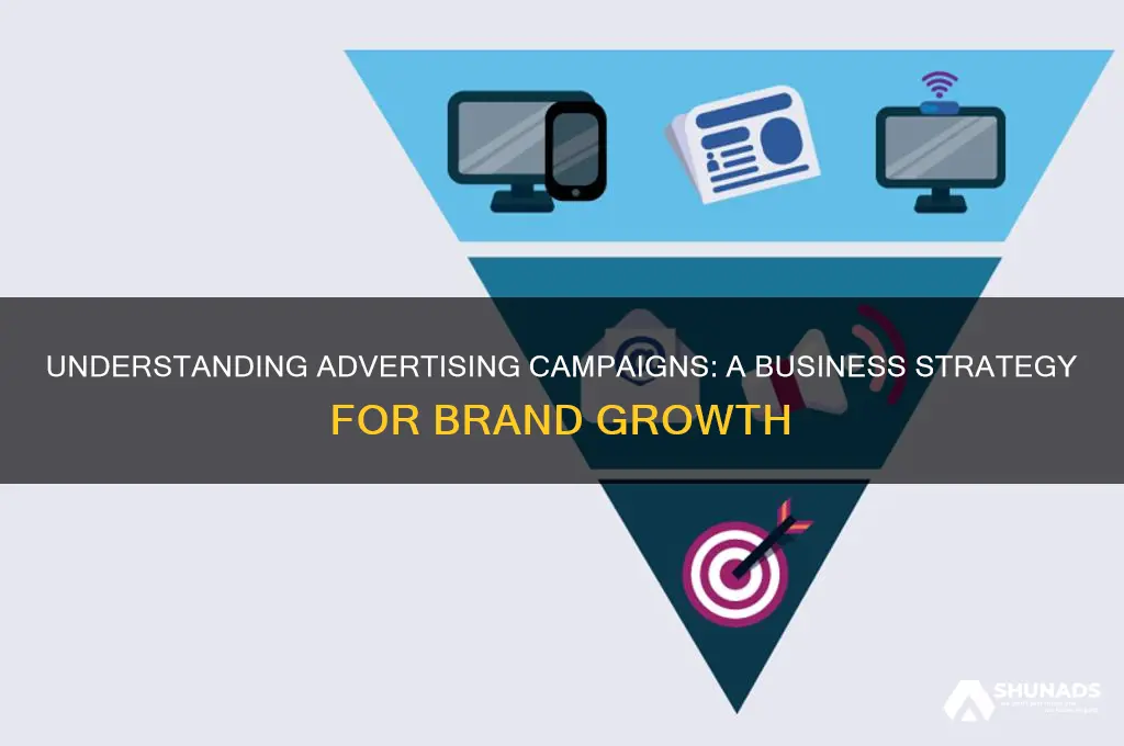 what does advertising campaign mean in business