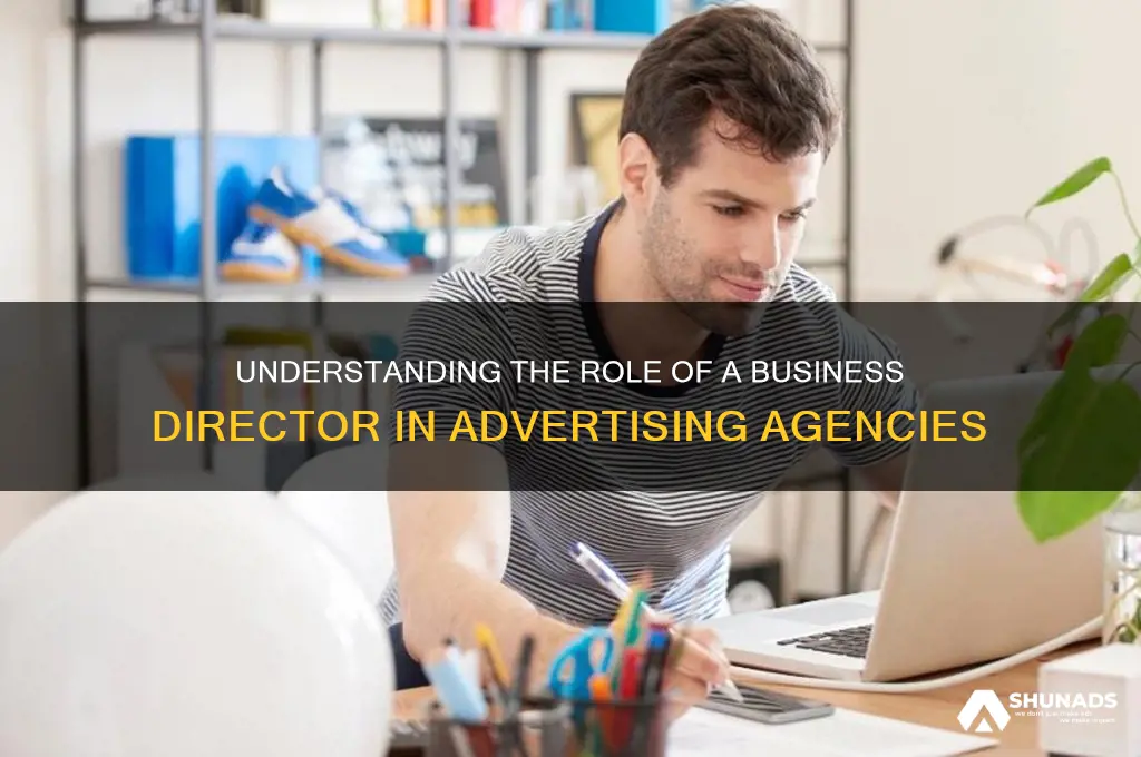 what does an advertising agency business director do