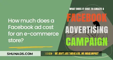 Facebook Advertising Costs: Budgeting for Your Campaign Creation
