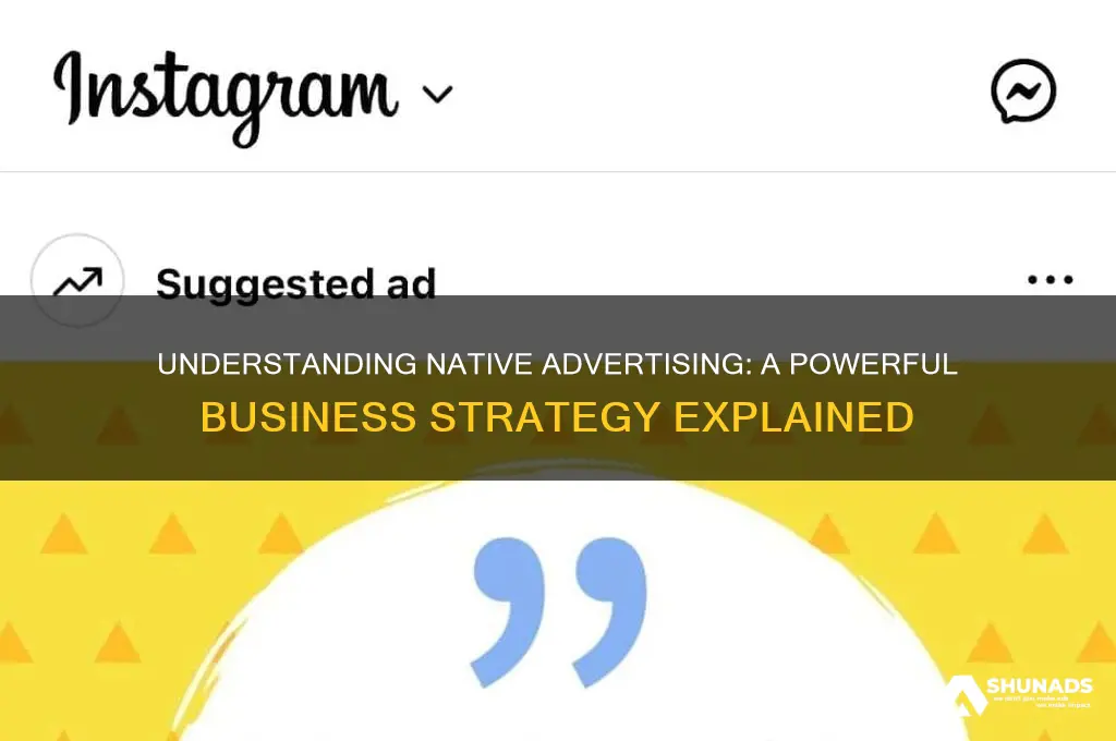 what does native advertising mean in business