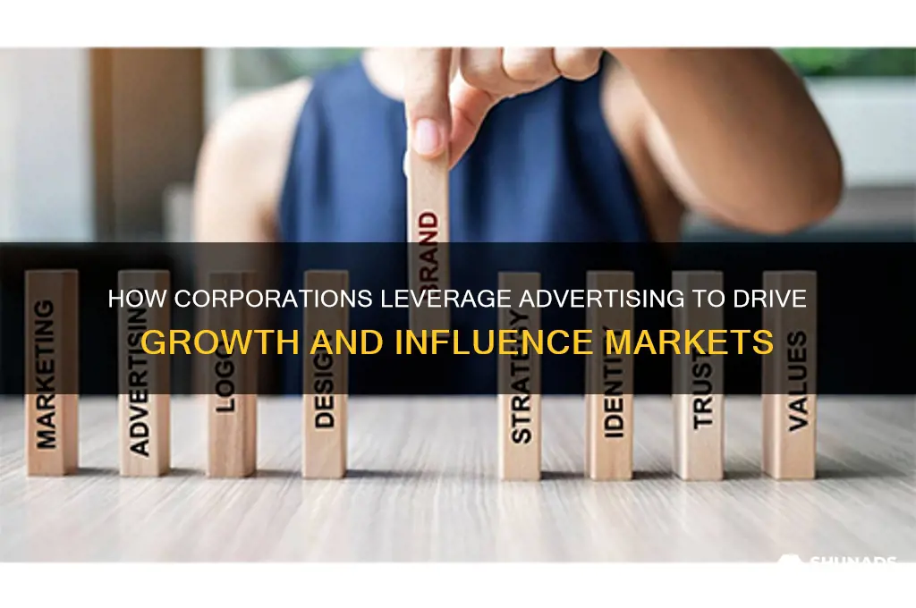 what does the corporate world use advertising for