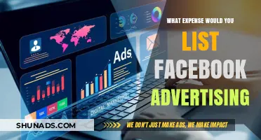 Facebook Advertising: Categorizing Expenses for Effective Budget Management