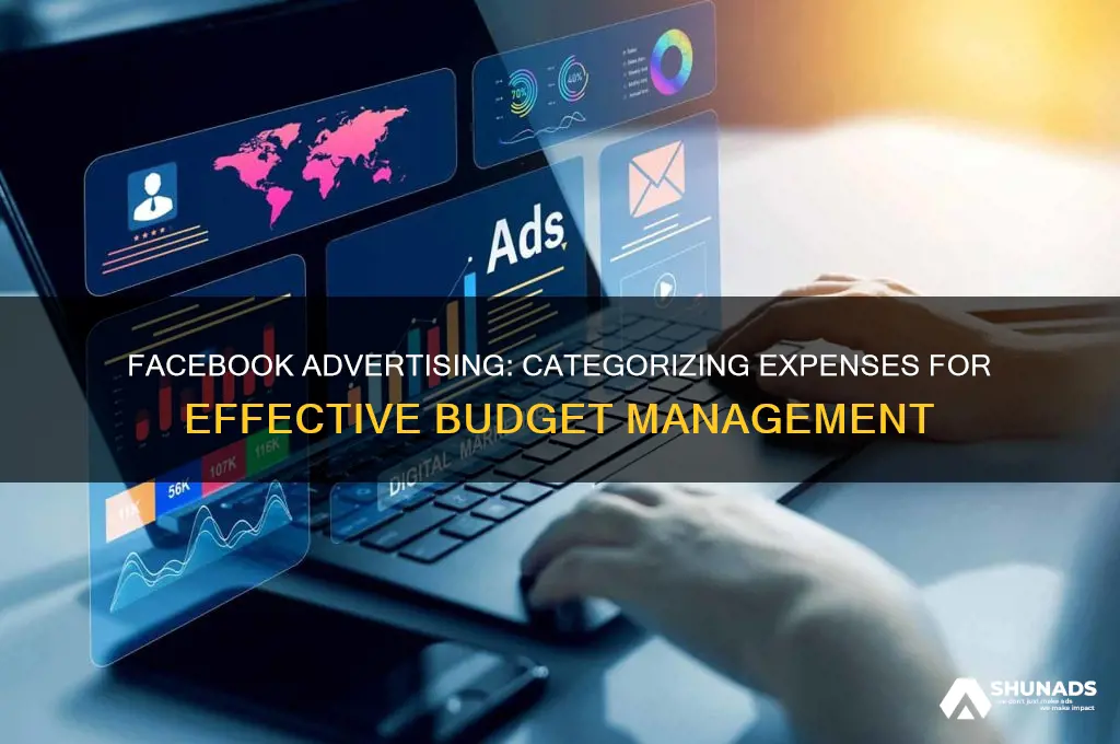 what expense would you list facebook advertising