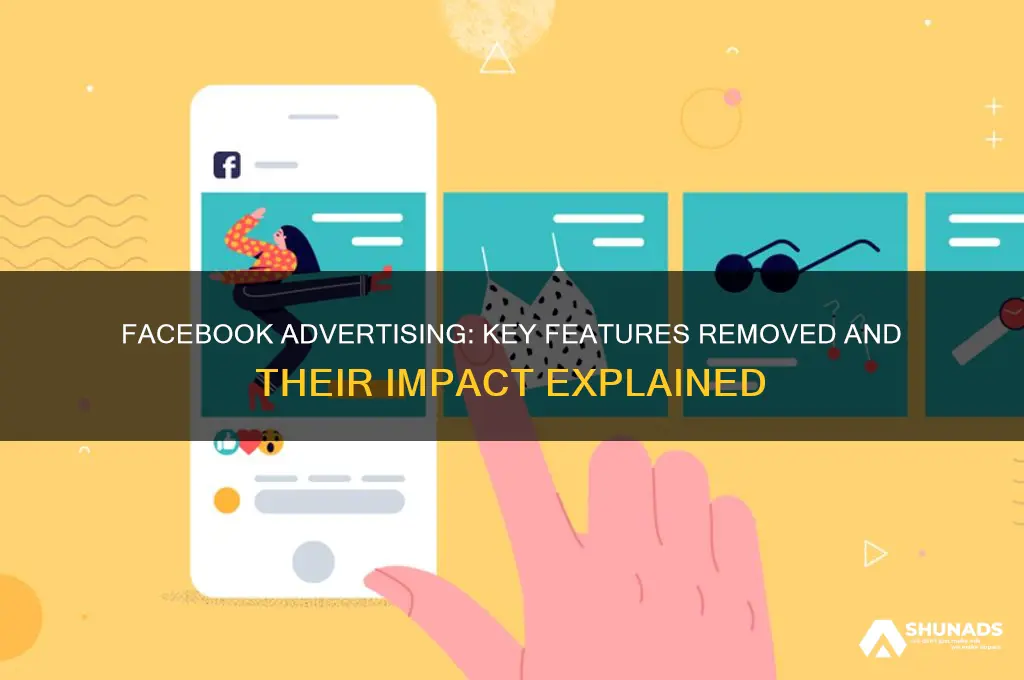 what facebook advertising features were lost