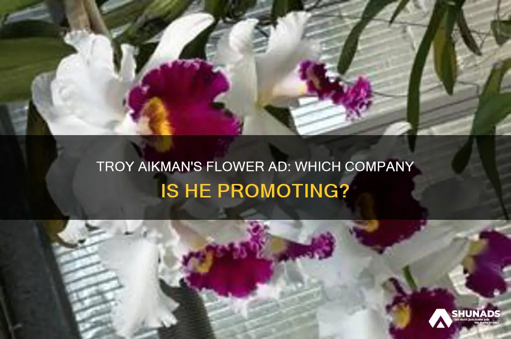 what flower company is troy aikman advertising for