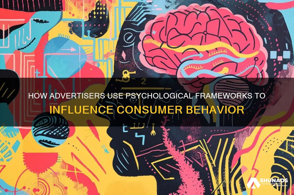 what frameworks do advertisers use to influence consumers